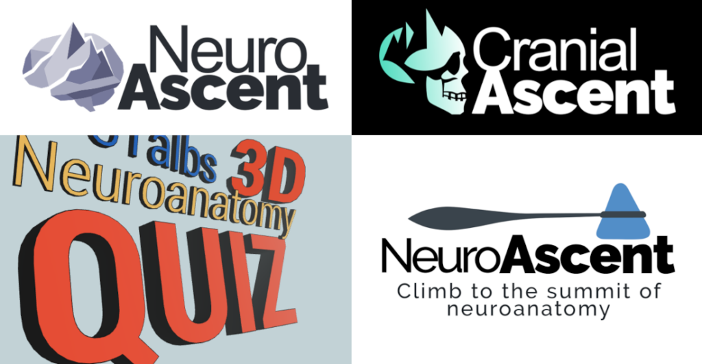 History of logos and designs used for the NeuroAscent neuroanatomy game.